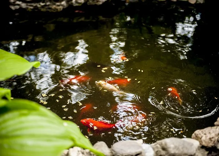 Beatrix Szálloda Budapest